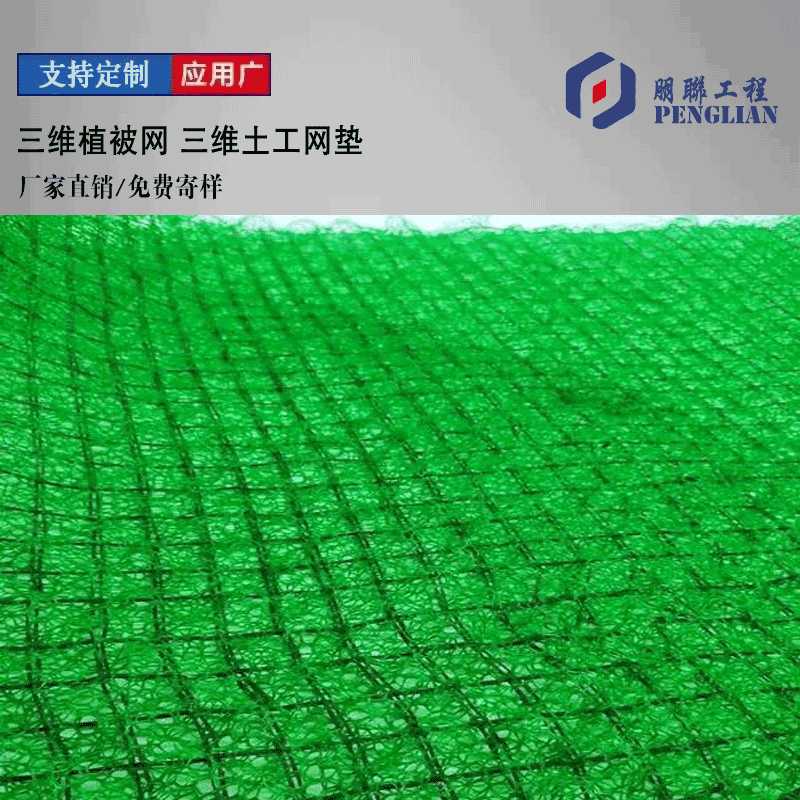 仙桃三維植被網(wǎng) 仙桃護坡土工網(wǎng)墊
